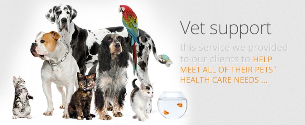 Vet support meeting all your pets health care needs